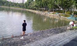 Blk 413 Pasir Ris Drive 6 (Pasir Ris), HDB Executive #91736822